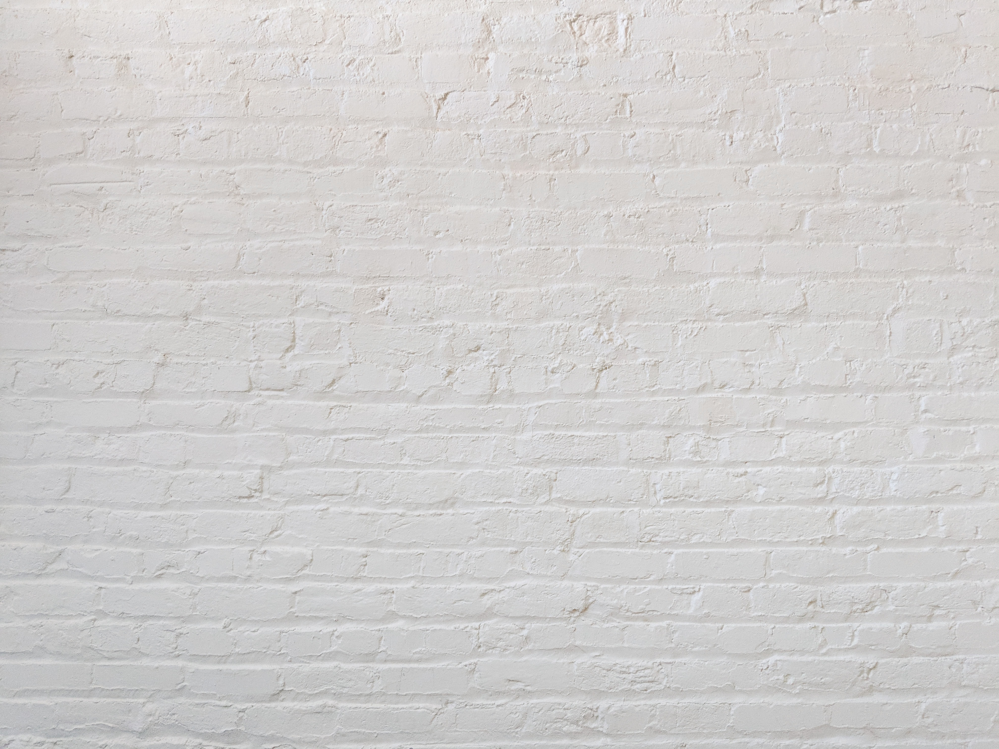 bricks
